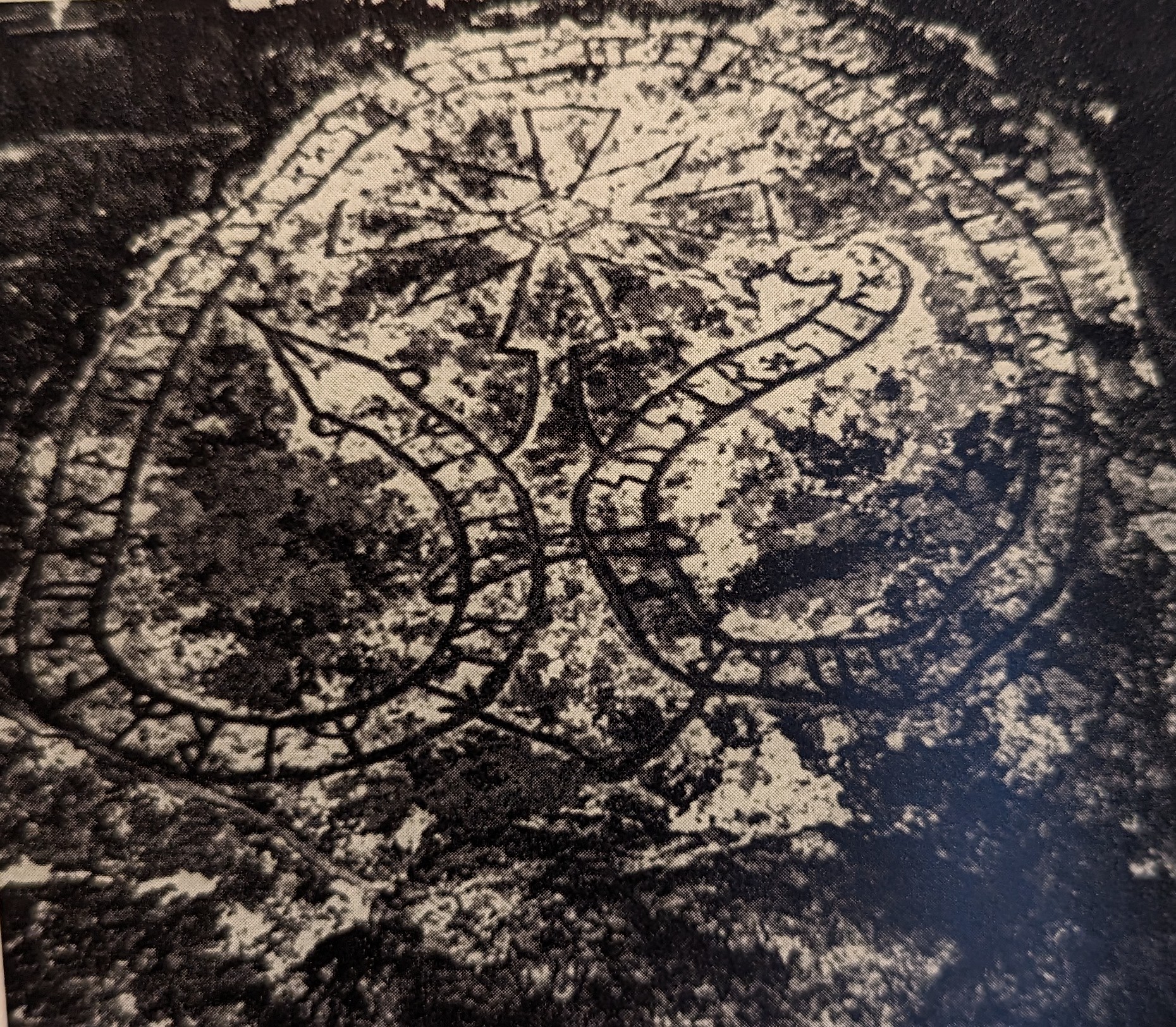 PXL_20250522_054738890